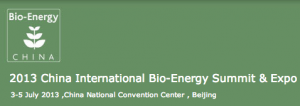 2013_China_International_Bio-Energy_Summit___Expo